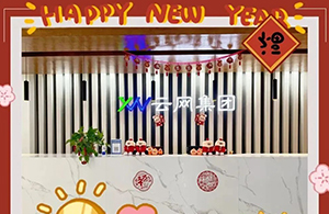 元春始風(fēng)華，萬象啟新朝|元旦快樂