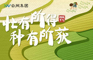 芒種時(shí)節(jié)，云網(wǎng)人以耕耘赴未來