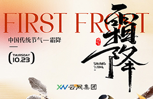 濕冷開局，鄭州人的霜降指南